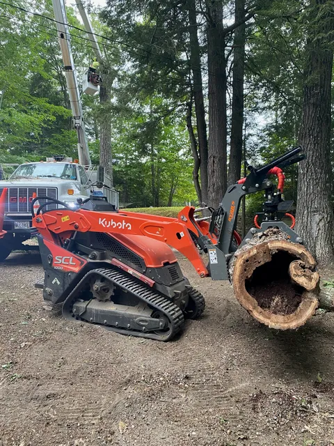 King’s Pine Tree Service work photo