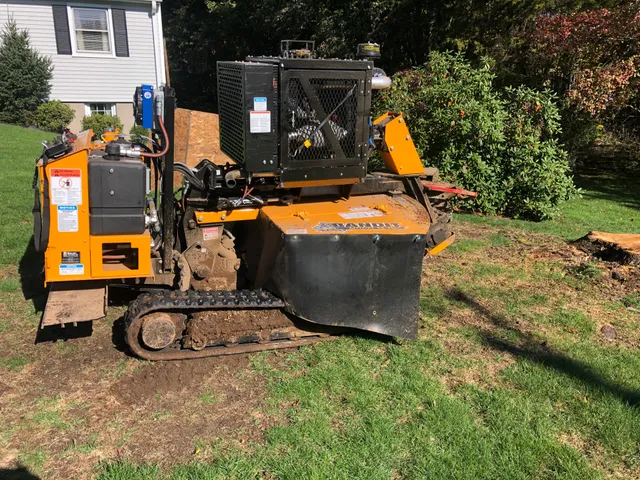 Stump Chompers Tree Service Orange work photo