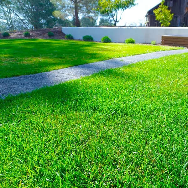 work photo from greenskeeperlawncare.com