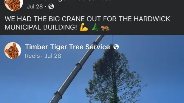 TIMBER TIGER FACEBOOK PAGE