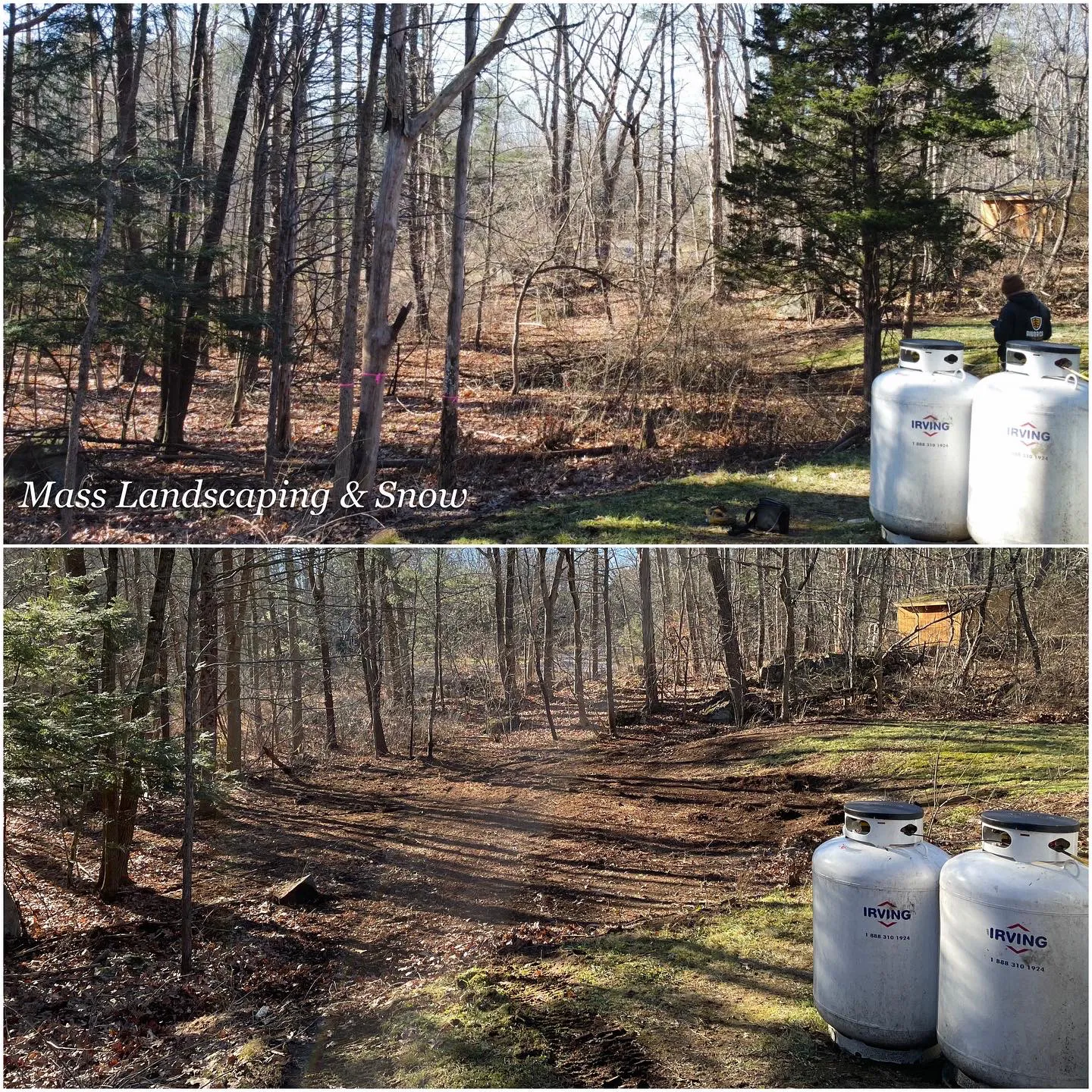 Mass Landscaping & Snow