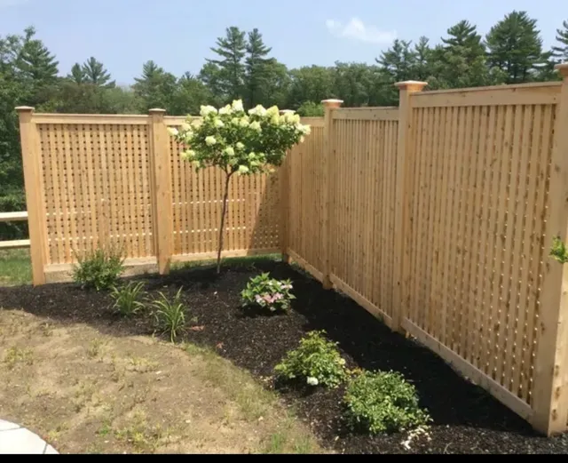 All Fenced In