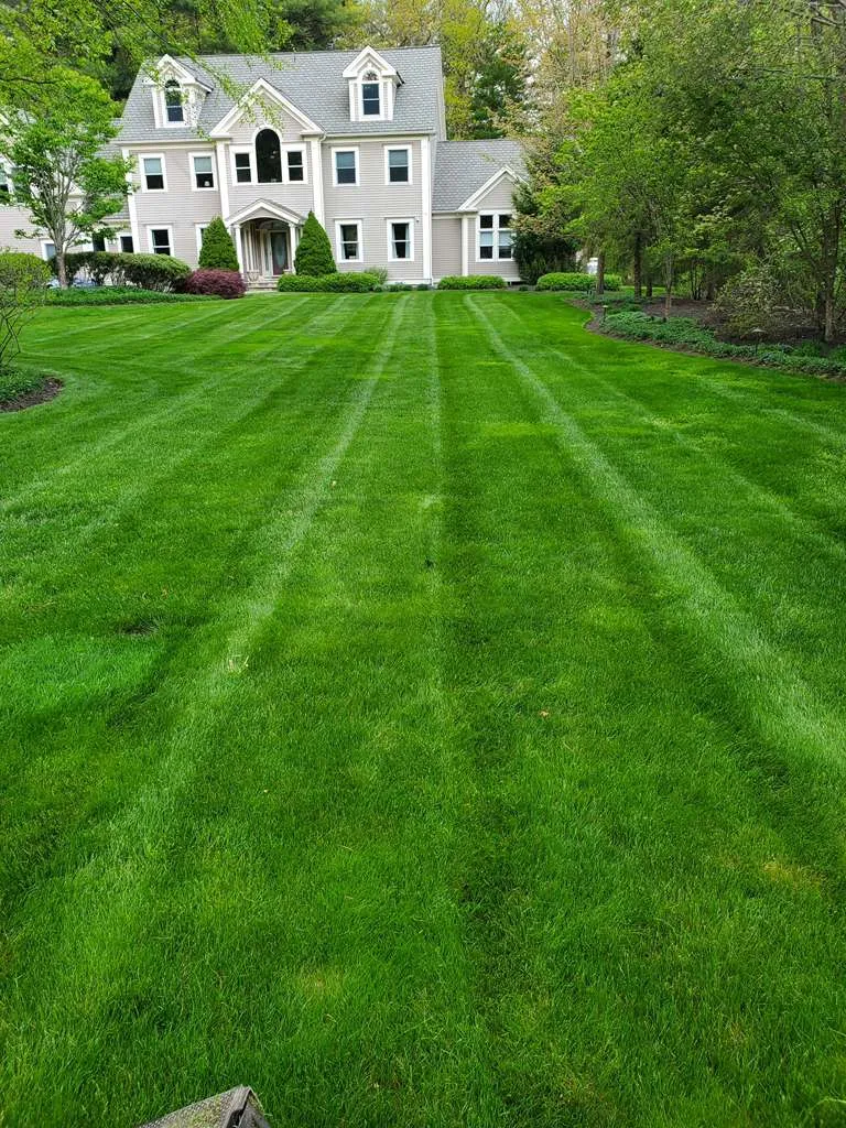 work photo from rpslandscaping.com