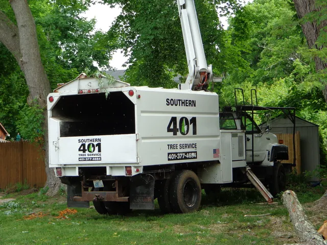Southern 401 Tree Service INC work photo