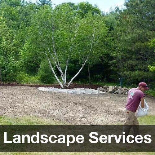 work photo from reillytreeandlandscape.com