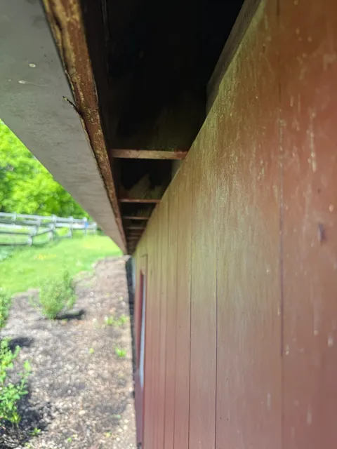 Unsealed eave gap along red barn roofline