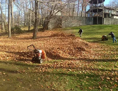 Spring and Fall Cleanup at Coupe's Cuts Lawn Service