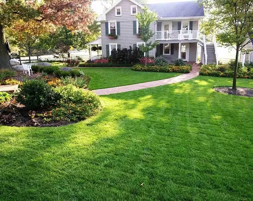 Grass Masters Lawn Care work photo