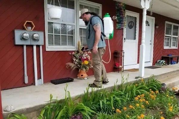 work photo from allgreenpest.com