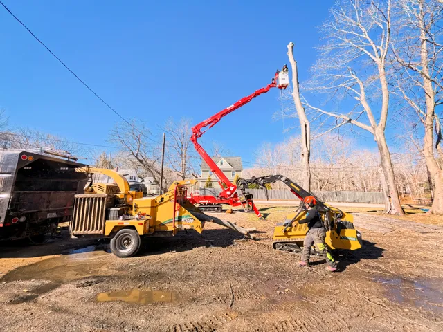 Blue Ox Tree Service work photo