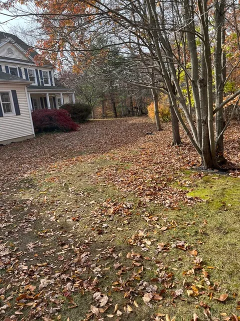 A house with leaves on the ground and trees