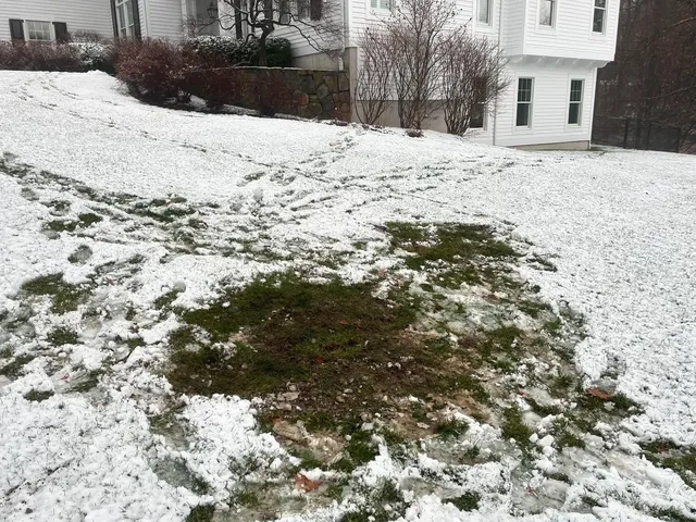 Snow sleet and rain for this real estate inspection today. We managed to save the grass and keep it as neat as possible for this two chamber tank #peaseseptic #septiccleaning #septicsystem