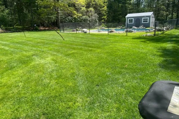 Soldevilla Lawn & Landscape