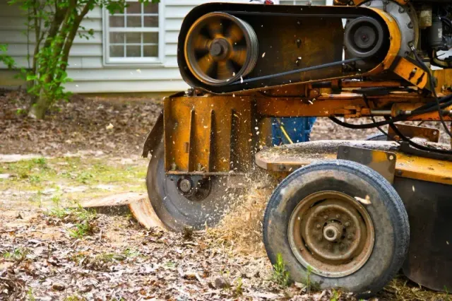 stump grinding & removal in sudbury, ma