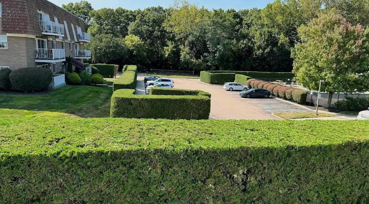 work photo from olmoslandscaping.com