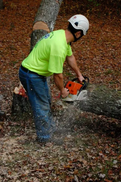 Man in a neon green shirt and jeans cutting a fallen tree with a chainsaw outside in a wooded area.