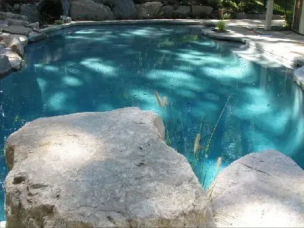 Commercial and Residential Pool Services