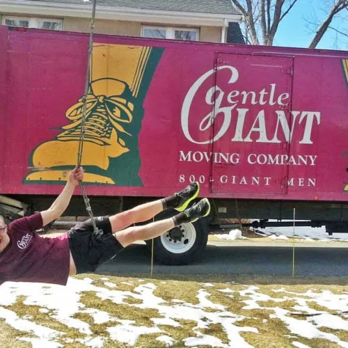 work photo from gentlegiant.com