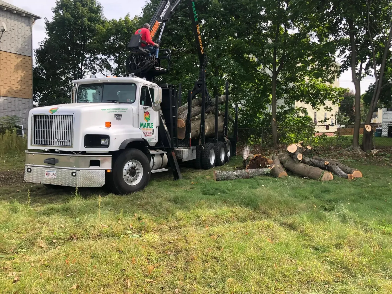 work photo from mapletreeservices.net