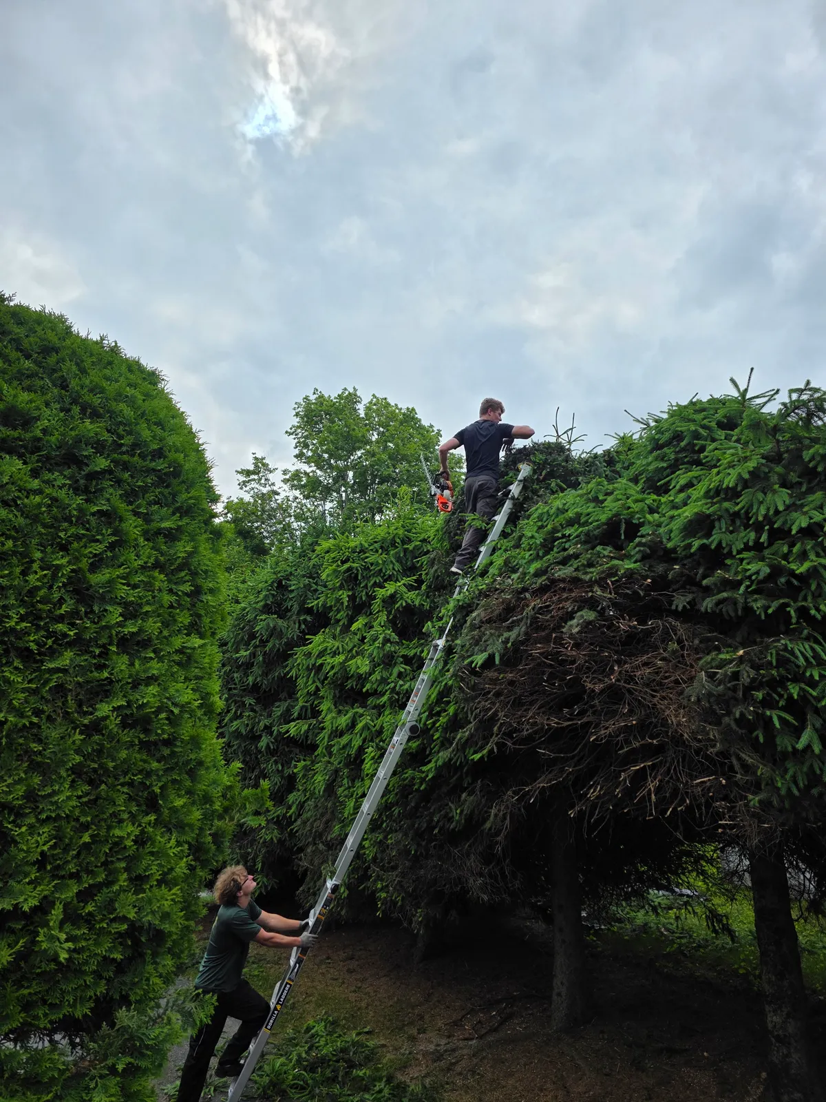 work photo from Google listing