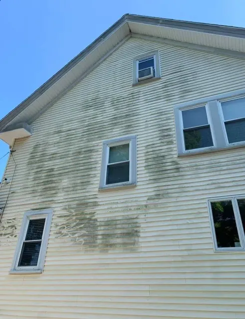 Exterior of a house with white siding, several windows, and greenish weather stains on the wall