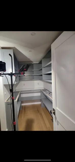 shelves painting