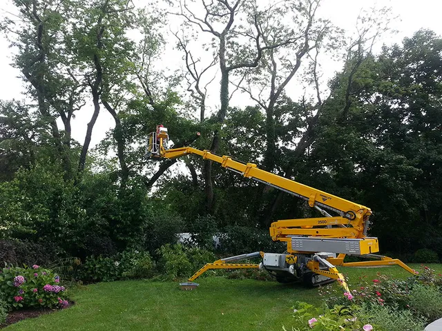 Weston Arborists, Inc. work photo