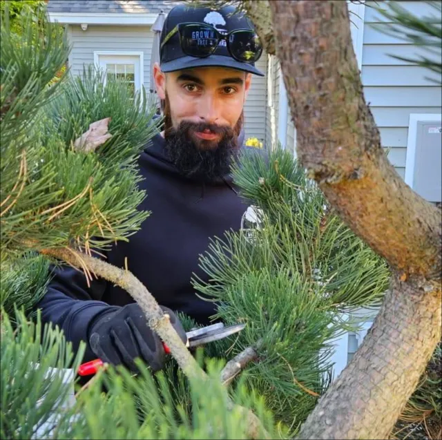 work photo from grownrighttreeandshrub.com