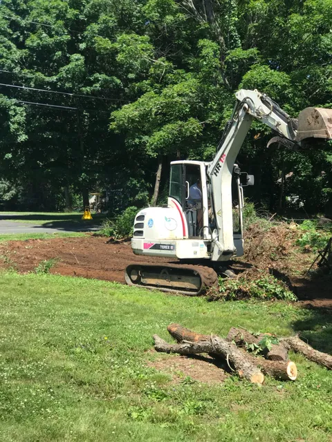 Neighbors care (NCL) tree services work photo