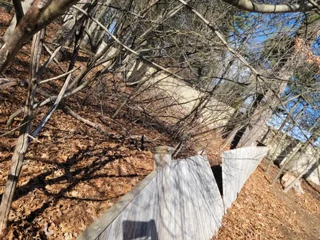 work photo from peymanlandscaping.com
