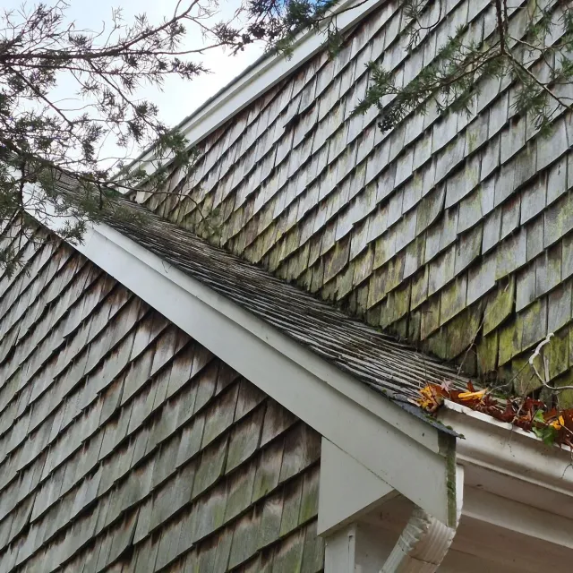Close-up of a house's weathered wooden shingle roof and gutter, with some leaves and branches in the foreground.