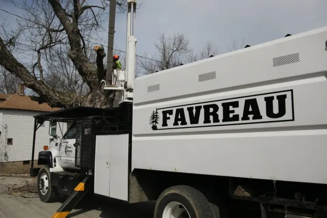 Favreau Forestry gallery photo 4