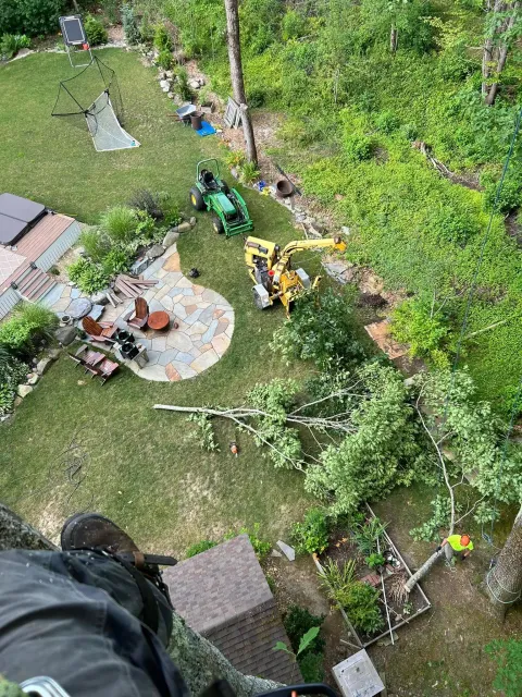 work photo from soultreecare.com