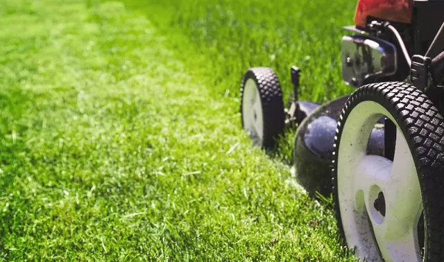Lawn Maintenance