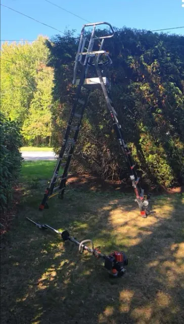 work photo from landscaperepel.com