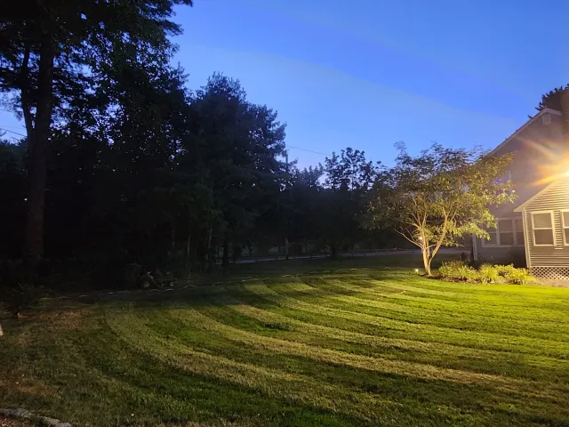 A backyard with a well-manicured lawn, a small tree, and a house illuminated by outdoor lighting at dusk or early evening. The sky is darkening, with some remaining blue visible.