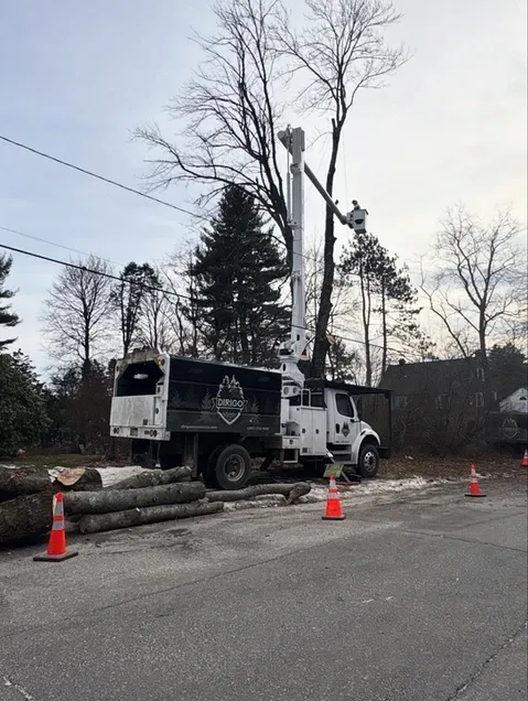 work photo from dirigotreeservice.com