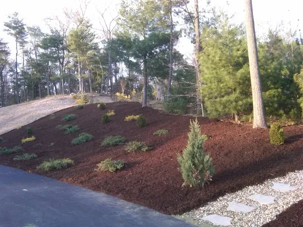 work photo from limaslandscape.com