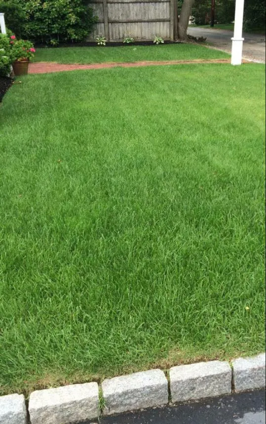 Bay View Landscaping