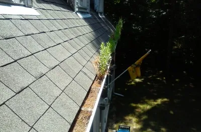 Clogged gutters
