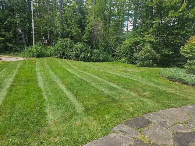 Freshly mowed lawn with striped pattern, bordered by lush green trees and foliage, under a partly cloudy sky. A stone path is visible in the foreground.