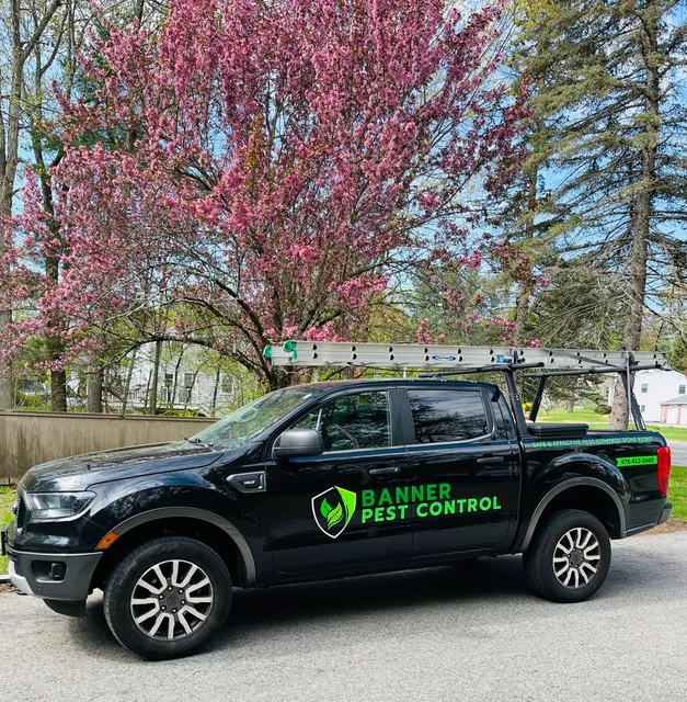Banner Pest Control work photo
