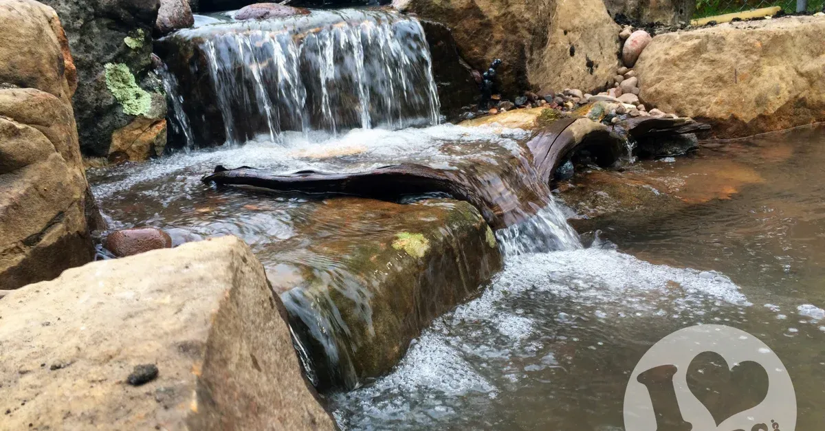 I Love Ponds.com researched project photo