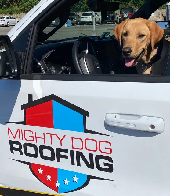Mighty Dog Roofing of MetroWest Boston