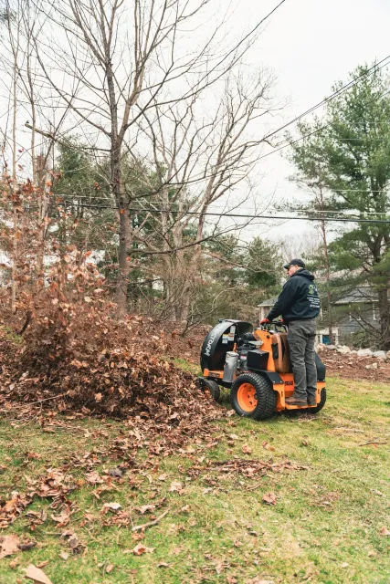 A person using a leaf blower to clear fallen leaves in a backyard yard with trees and grass.