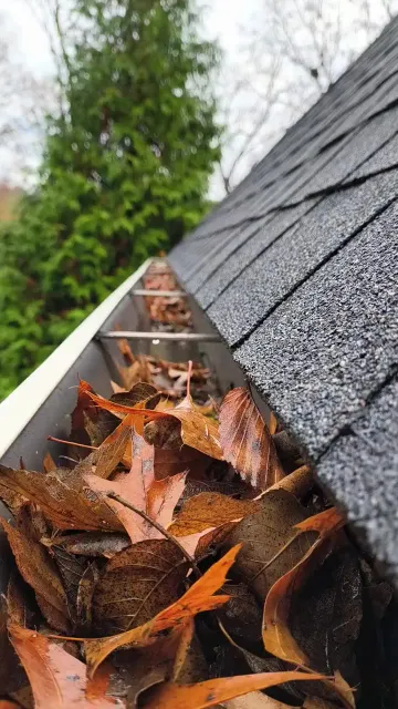 Clean Pro gutter cleaning service