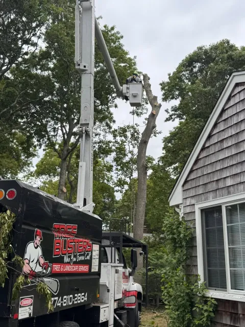 Utility truck with boom lift beside a house and tall trees, with a worker near the truck.
