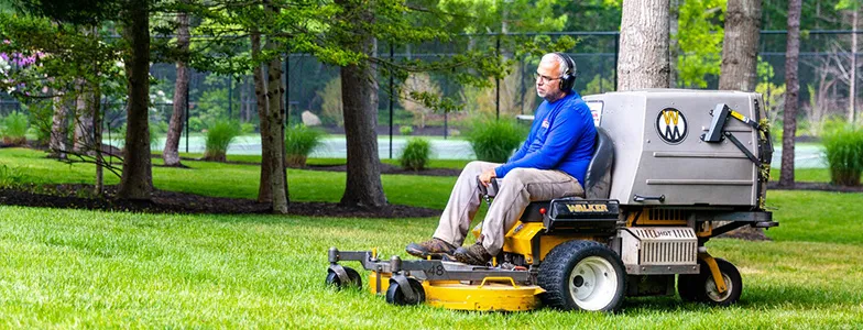 work photo from phoenixlandscapingandconstruction.com