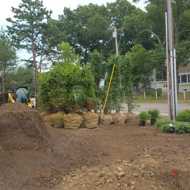 SAMPSON BROTHERS researched project photo