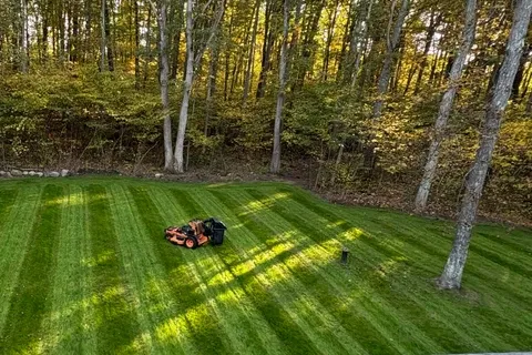 Professional Mowing